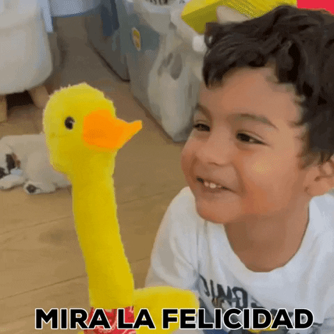 Pato bailarín - ENVÍO GRATIS