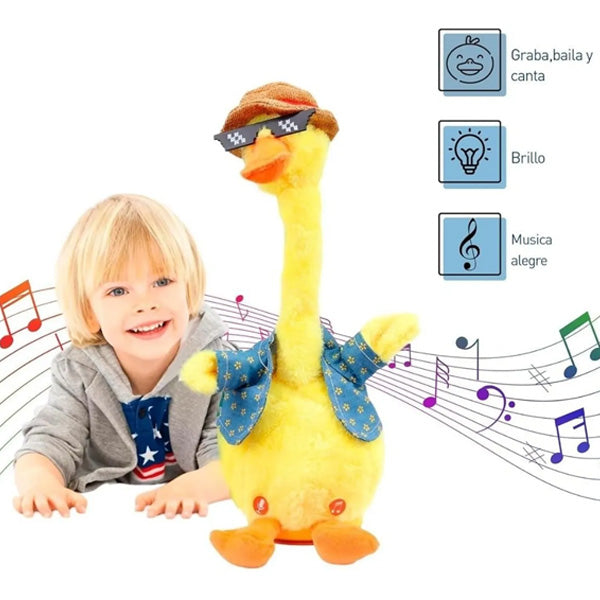 Pato bailarín - ENVÍO GRATIS